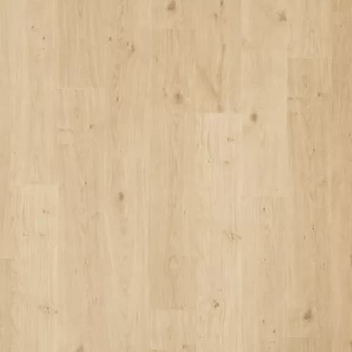 37006 01 swatch
