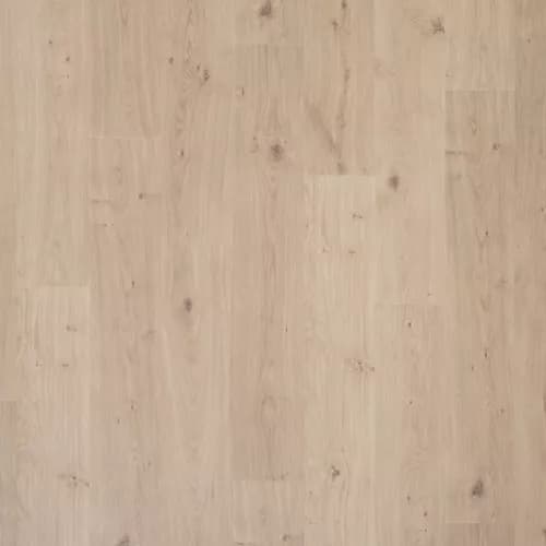 37006 03 swatch